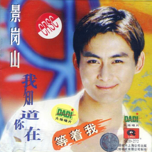 我的眼里只有你(柔情版)