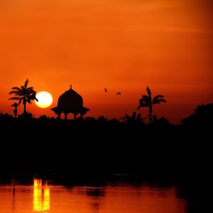 Search for Kiwi Juice