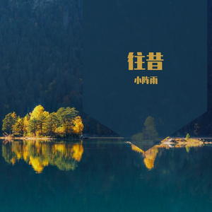 心做し（中文版）