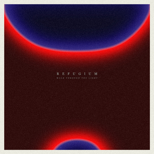 Walk Through The Light