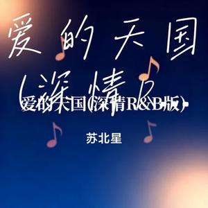 爱的天国 (深情R&B版) (Cover 阿野)