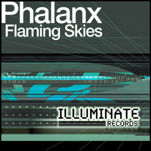 Flaming skies (DJ Manian Vs Triffid Instr Remix)