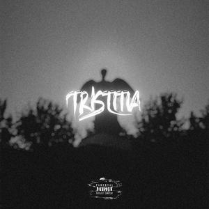 Torio (feat. haluzboy. & Tom Orrow)