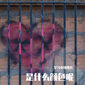是什么颜色呢