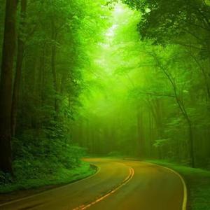 许巍-许巍 星空（钢琴版）（Leo remix）