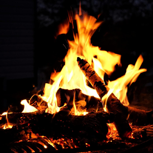 Hohenschwangau Castle Fantasy for Lute