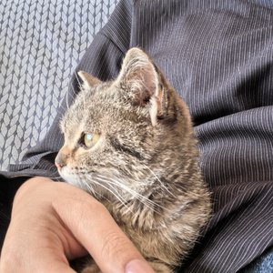 夜空中最亮的星-录音室清唱版.wav