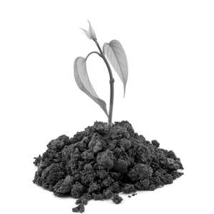 내꺼(我的) (Prod. Nkmusic)