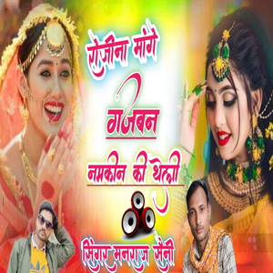 रोजीना मांगे गजबन नमकीन की थेली