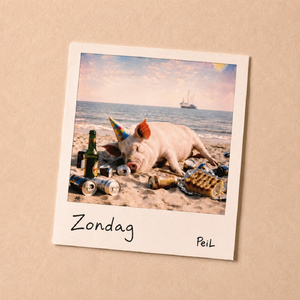 ZONDAG