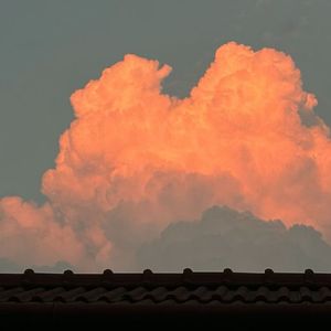 如果我没有伤口