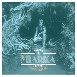 Just Like a Bird Without a Feather