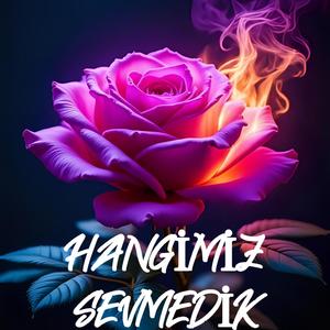 Hangimiz Sevmedik