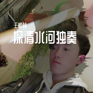 群星-探清水河独奏(Remix)