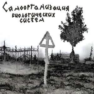 Остаться там