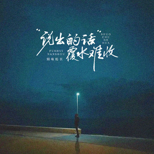 说出的话覆水难收 (DJ阿尼版)