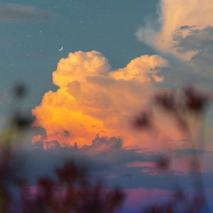 白山茶   弹唱版