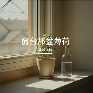 窗台那盆薄荷 伴奏