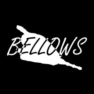 Bellows