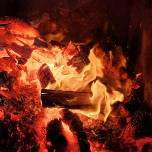 香ばし生姜が決め手の生姜焼き (FOOD MUSIC)