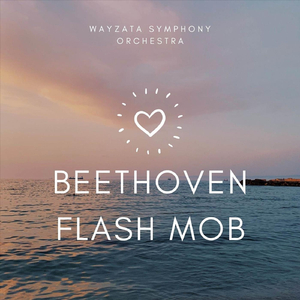 Beethoven Flash Mob