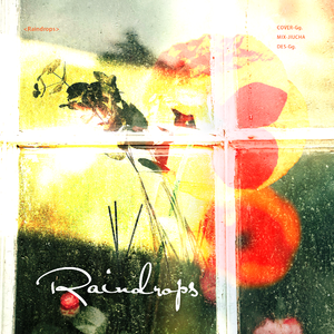 Raindrops