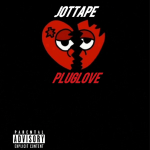 Pluglove