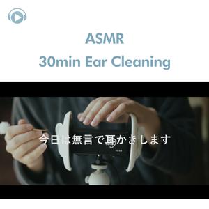 ASMR - 30分、耳かきの音だけの動画_pt18 (feat. 右脳くん_Unoukun)