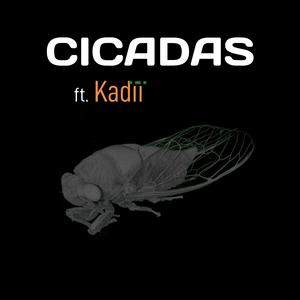 Cicadas (feat. Kadïï)