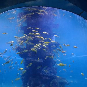 时光雕刻勇敢的壳