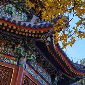 蓝莲花（翻自 许巍）