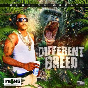 2 Playa (feat. Ray Mail)