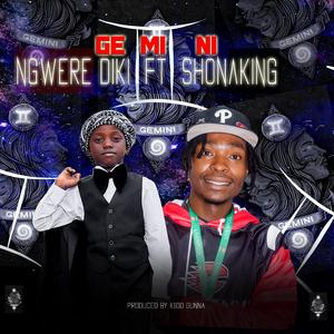 Ngwere Diki -- (Gemini) (feat. Shonaking)
