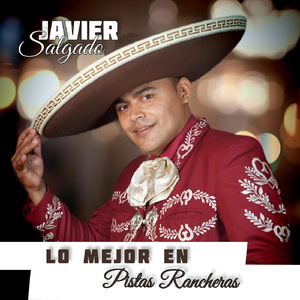 Pista Falsas Sugerencias
