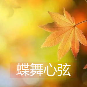 蝶舞心弦