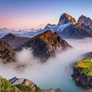 不会取名字311-1