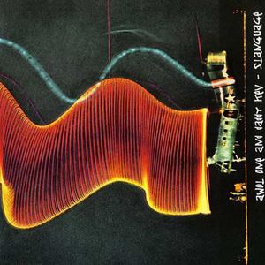 Six Black Roses Are Sent to Your House