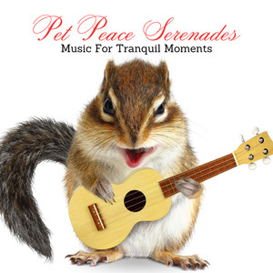 Feathers and Fur Fugue