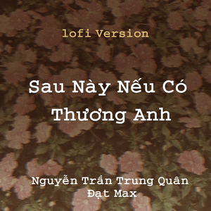 Nếu Sau Này Có Thương Em ( Hương Ly x Đạt Max ) - Nguyễn Trần Trung Quân (Lofi)