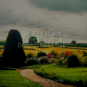 Moonlit Spellbound Groove