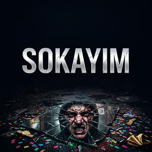 Sokayım (küfürlü)