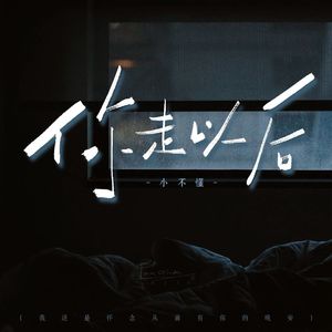 你走以后