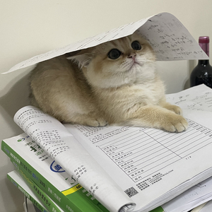 最后回应（demo版）