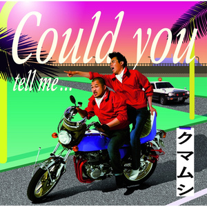 Could you tell me...