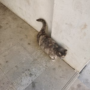 南冥