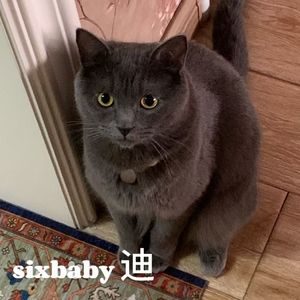 [beat] drill&jersey club type