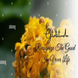 new place dont feel like home