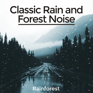 The Rain Nest