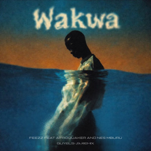Wakwa (feat. AfroQuakeR, Nes Mburu) (Guyel5-Sa Remix)