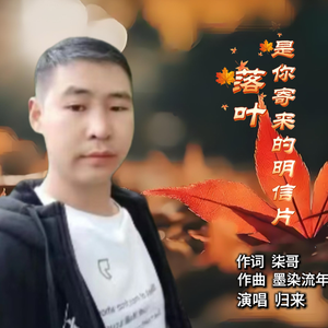 落叶是你寄来的明信片